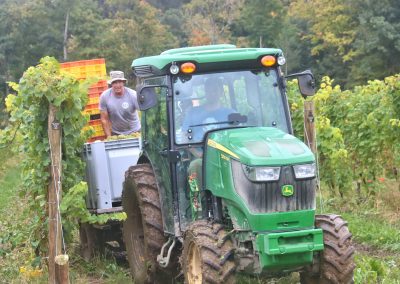 Tractor driving through Buttonwood Grove Harvest