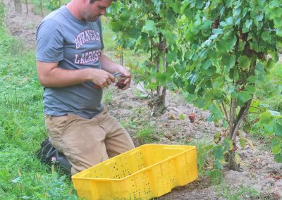 Dave Pittard Kneeling Buttonwood Grove Harvest