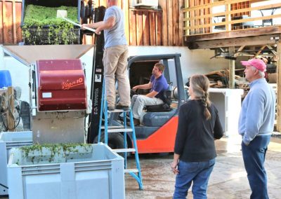 Workers in Winery at Buttonwood Grove Harvest