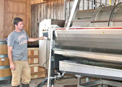 Working Crushing and Destemming Buttonwood Grove Harvest