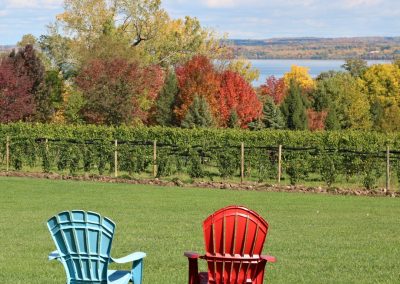 Buttonwood Grove View - 2 Chair Overlooking Buttonwood Vineyards